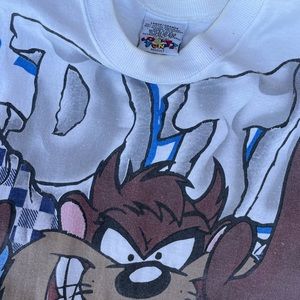 Vintage 1992 wild thing Taz Tee